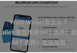 Trust Wallet安全么 Trust Wallet 是否维持 NFT 质押？收益指南